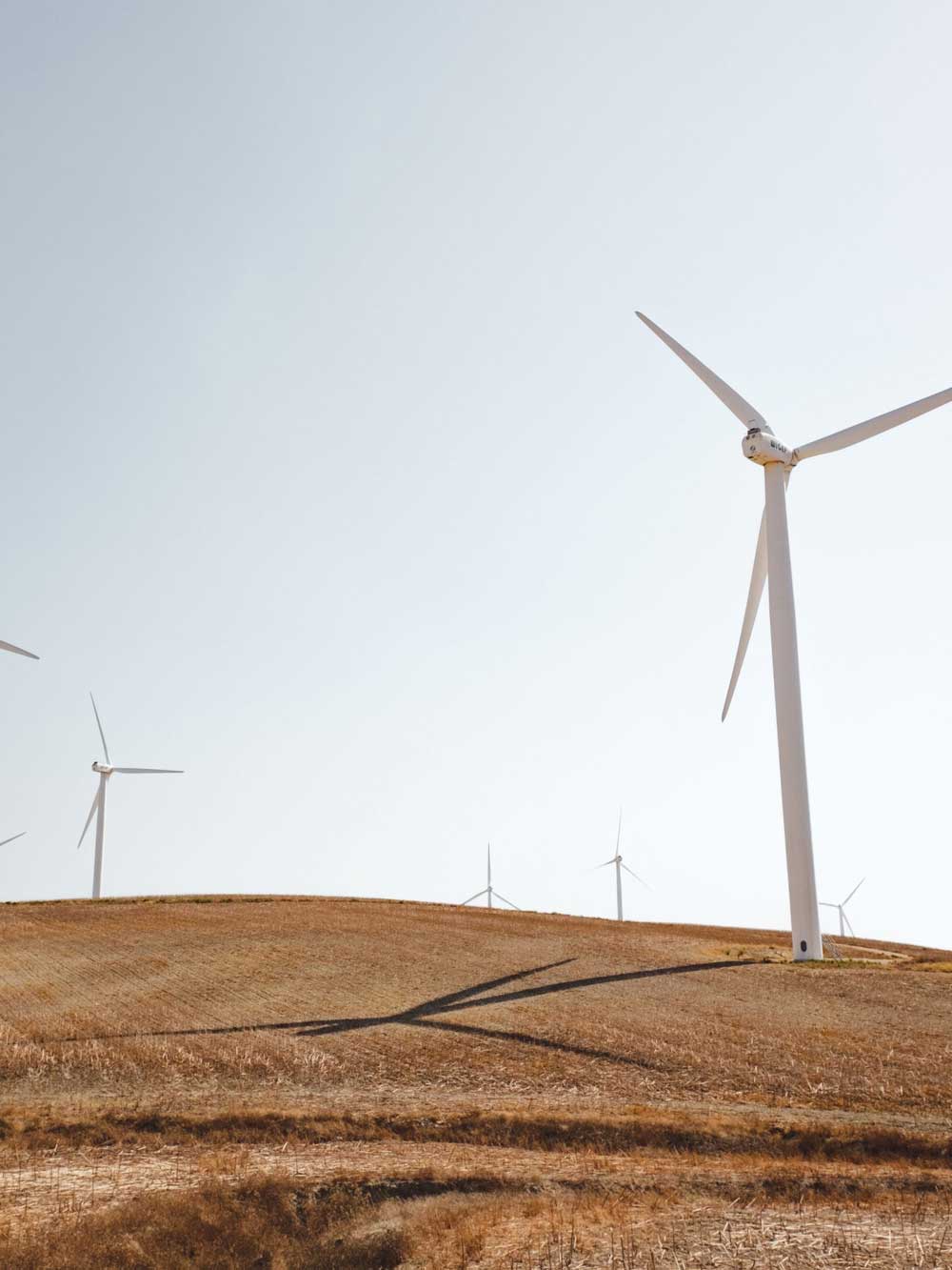 Windturbines op een grasvlakte, tegen een blauwe lucht.