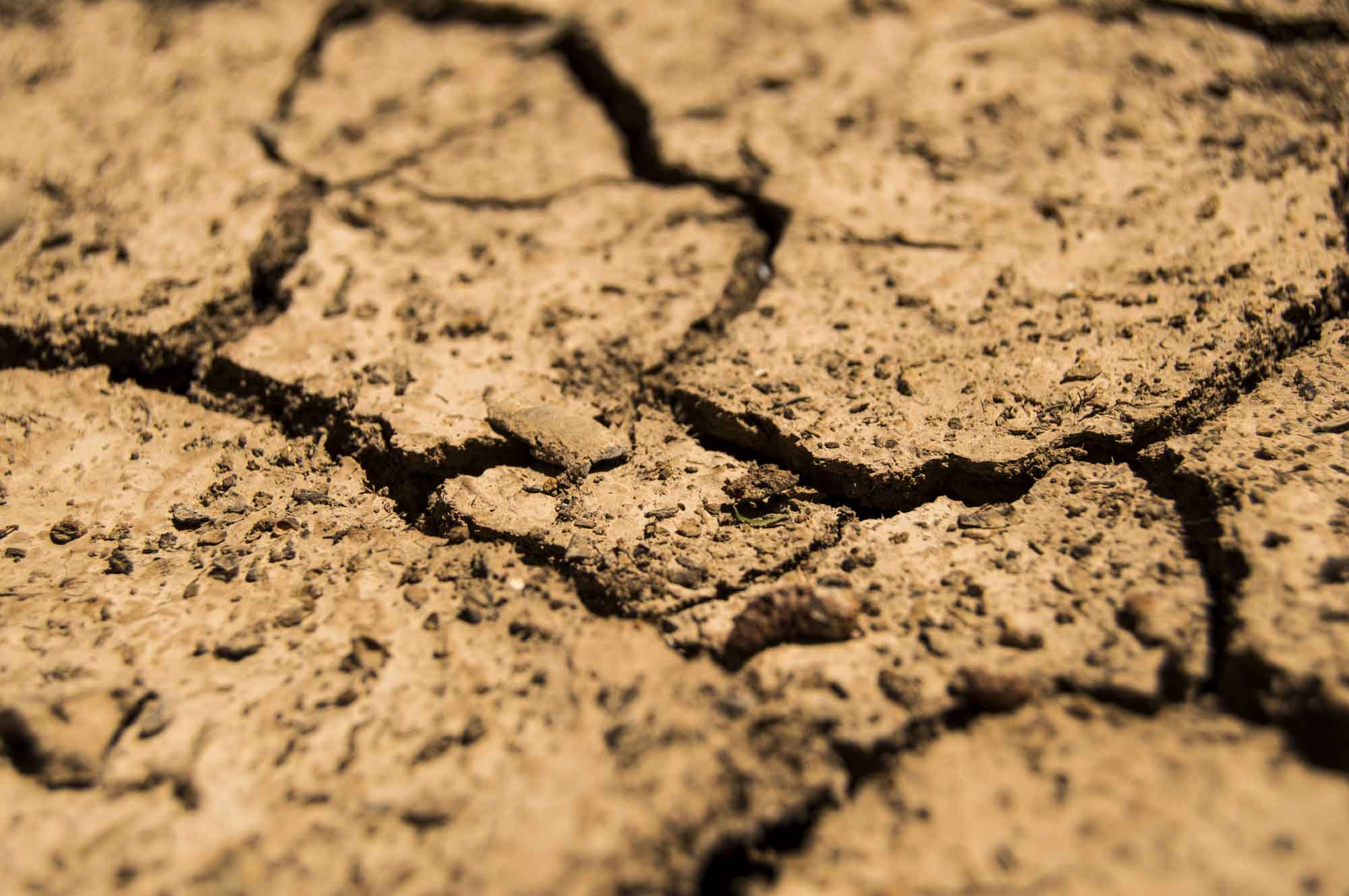 Primer plano de tierra seca y agrietada.