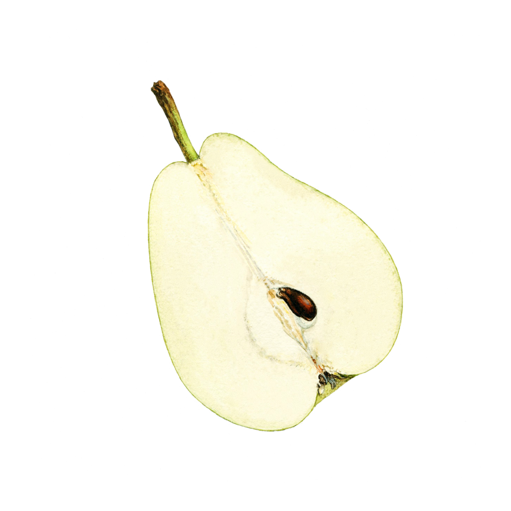 pear half